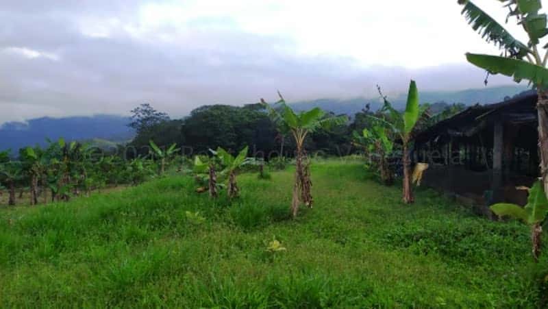 View 19