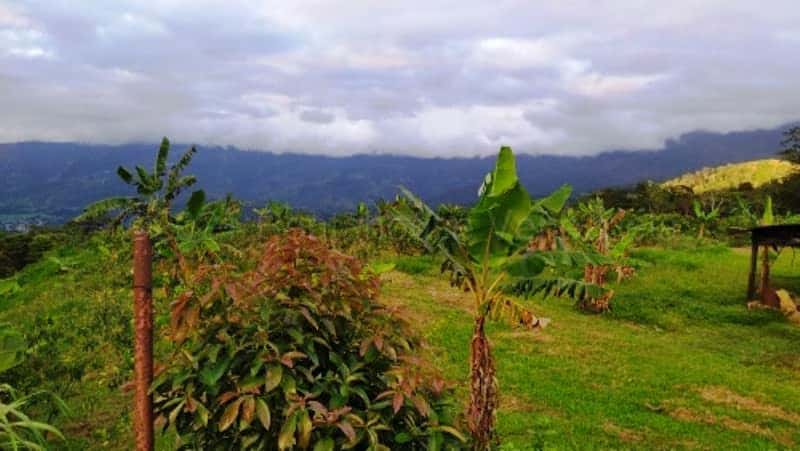 View 24