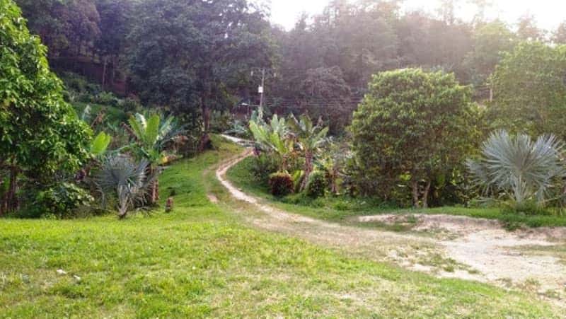 View 26