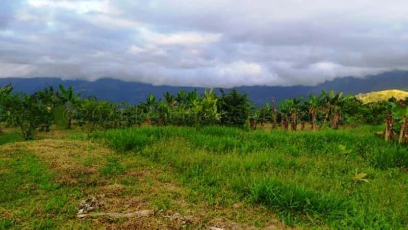 View 29