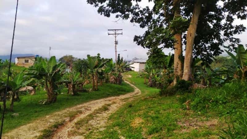 View 32