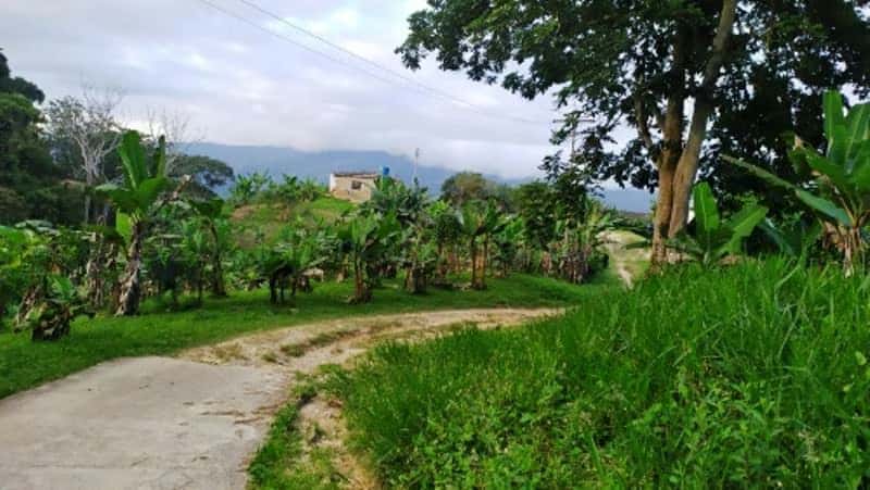 View 33