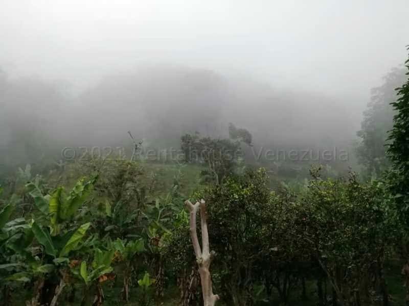 View 34