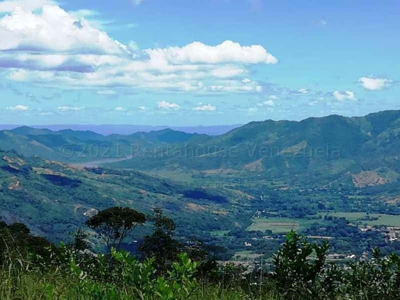 View 36