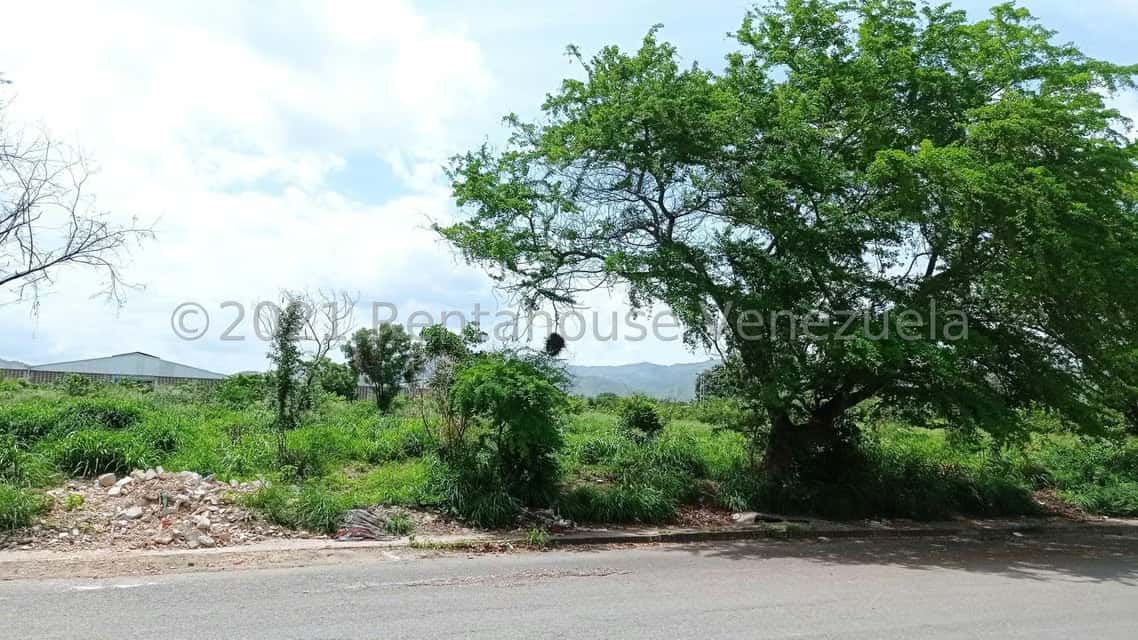 View 1