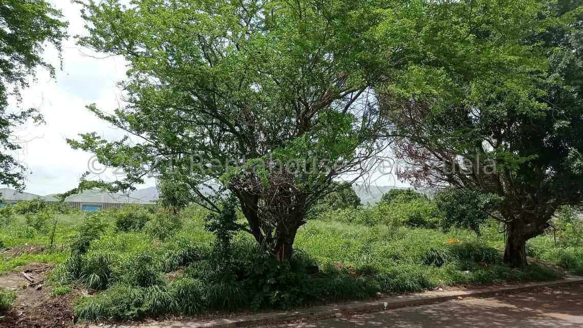 View 11