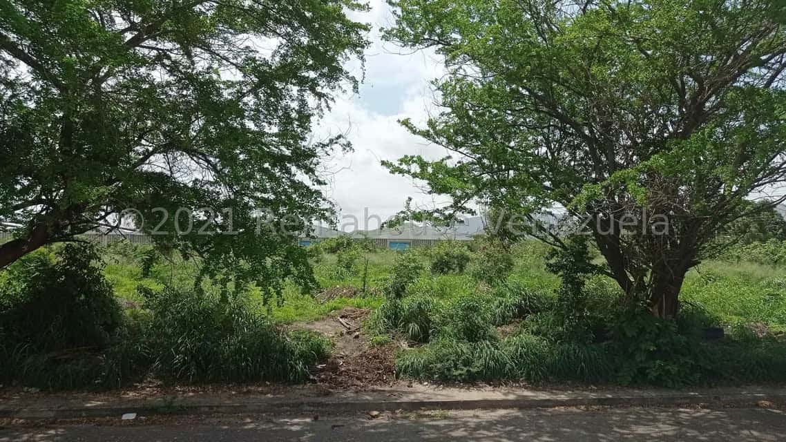 View 10