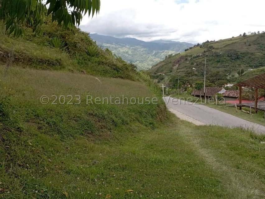 View 1