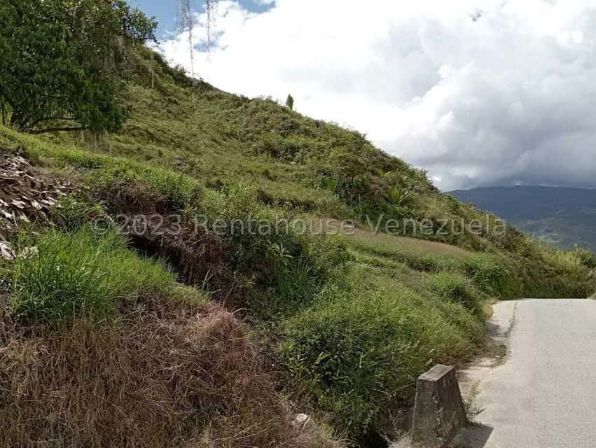 View 11