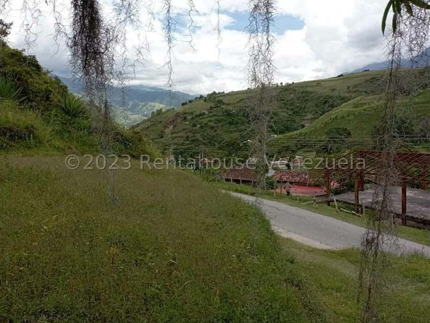 View 14