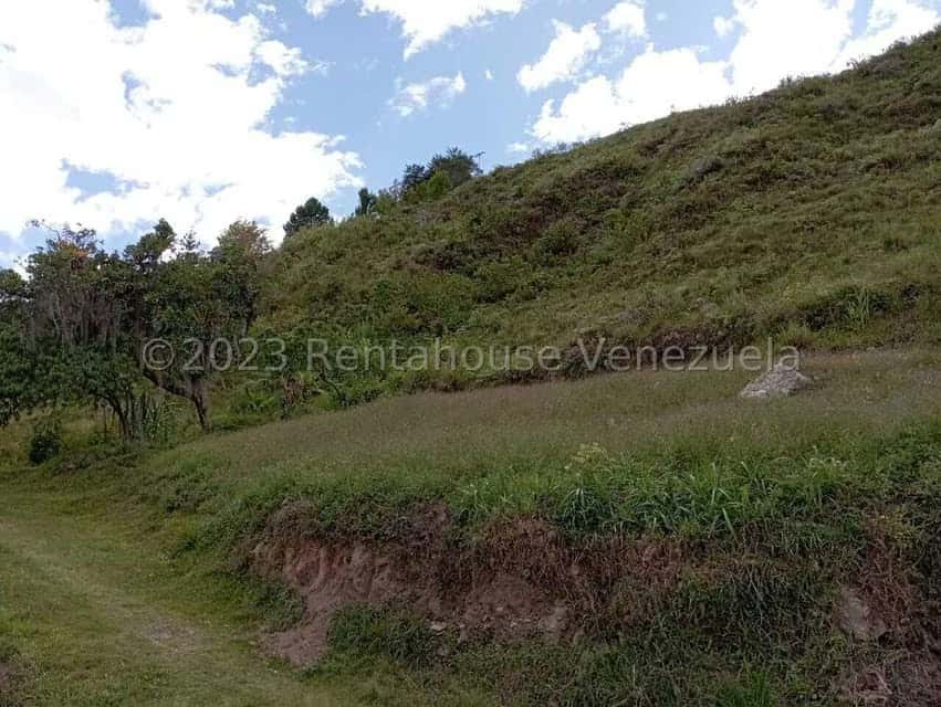View 21