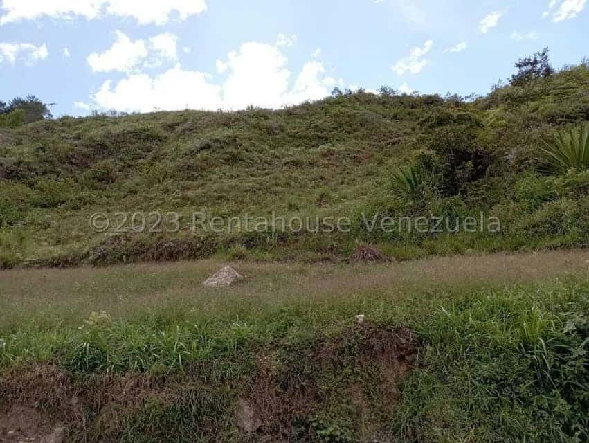 View 22