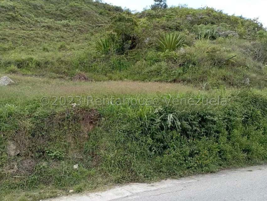 View 23