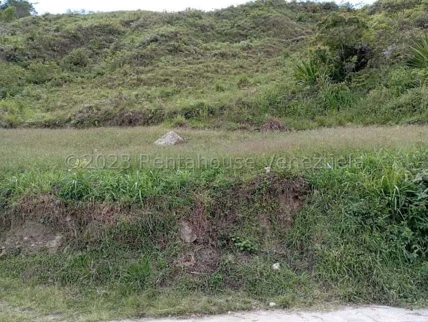 View 26