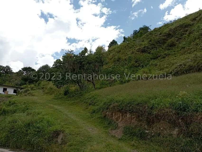 View 29