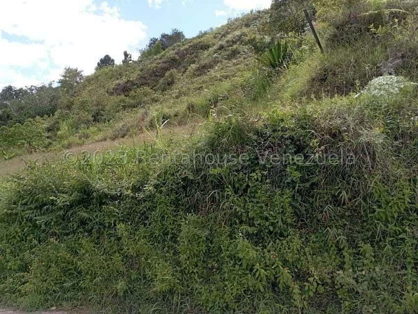 View 31