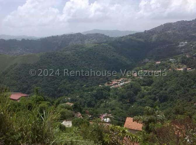 View 1