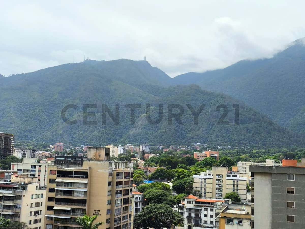 View 13