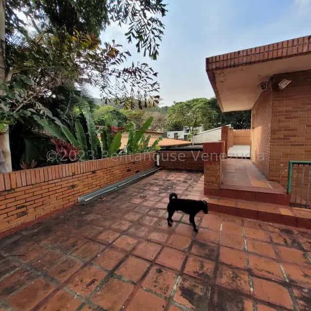 View 39