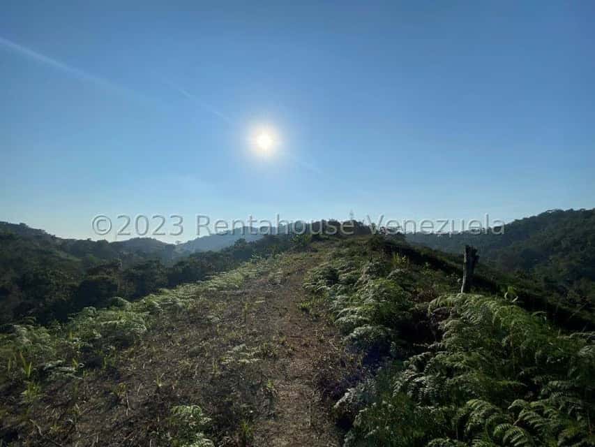 View 10