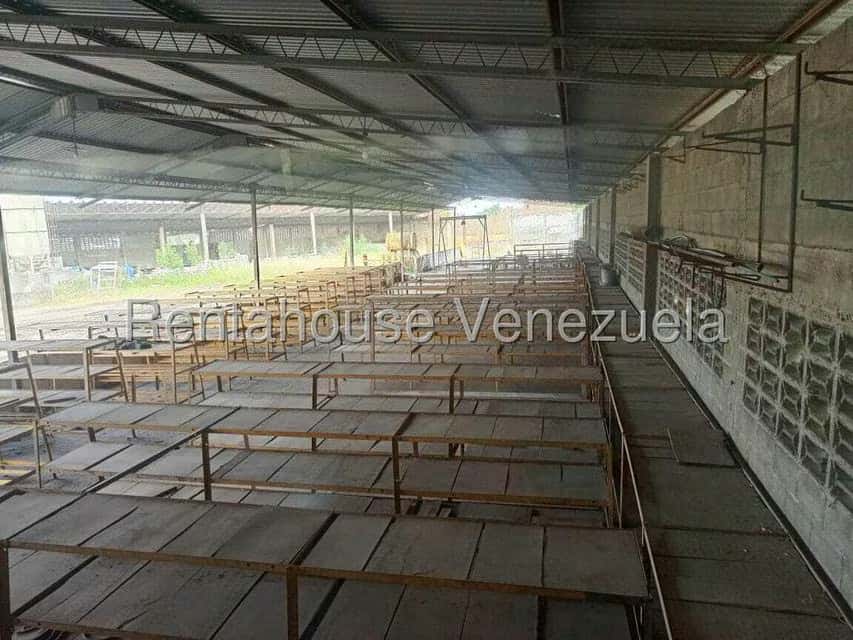 Vista 21