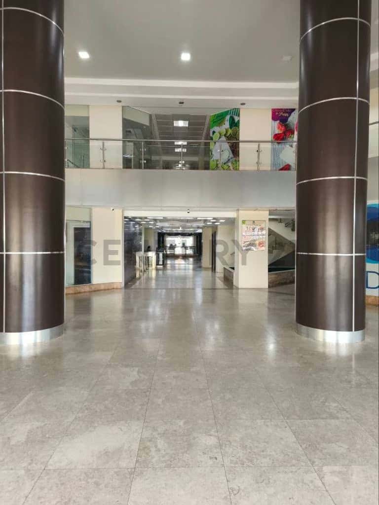 View 2