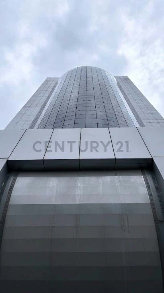 View 19