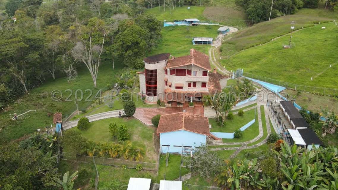 View 1