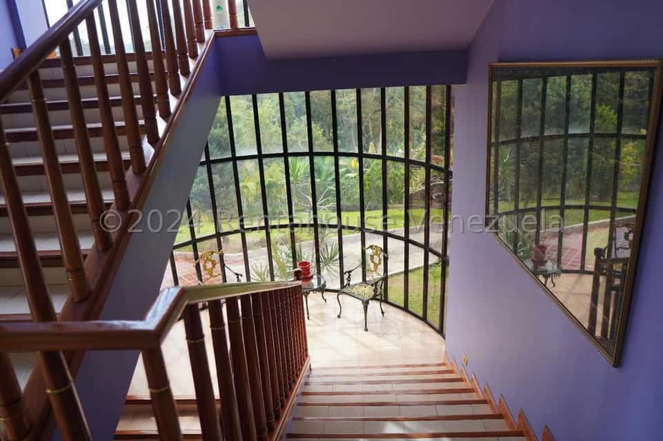 View 21