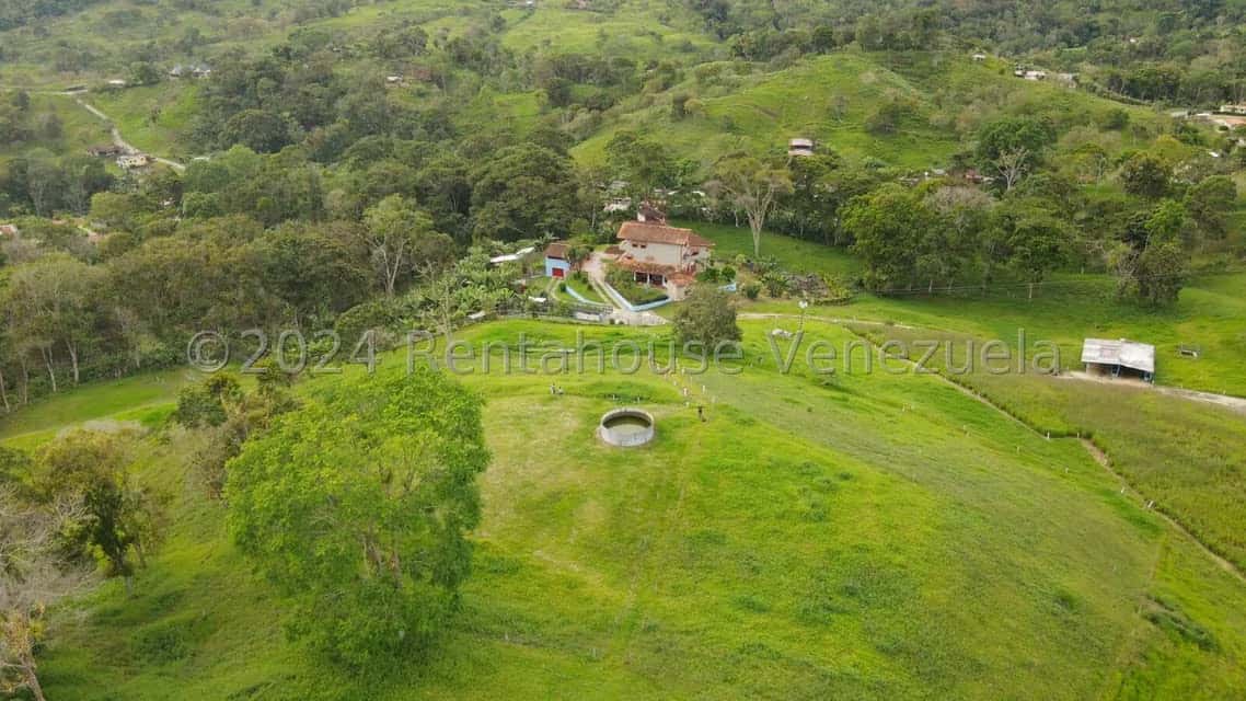 View 28