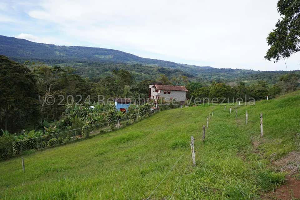 View 35