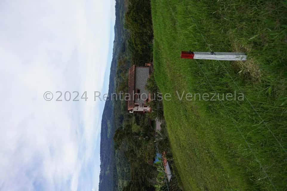 View 36