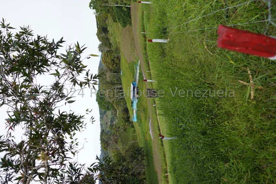 View 37