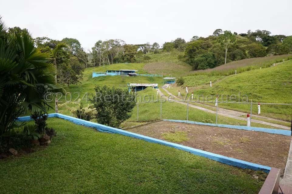 View 39