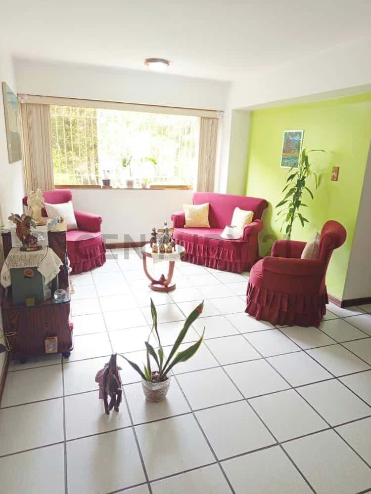 Vista 3