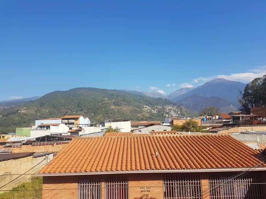 View 37