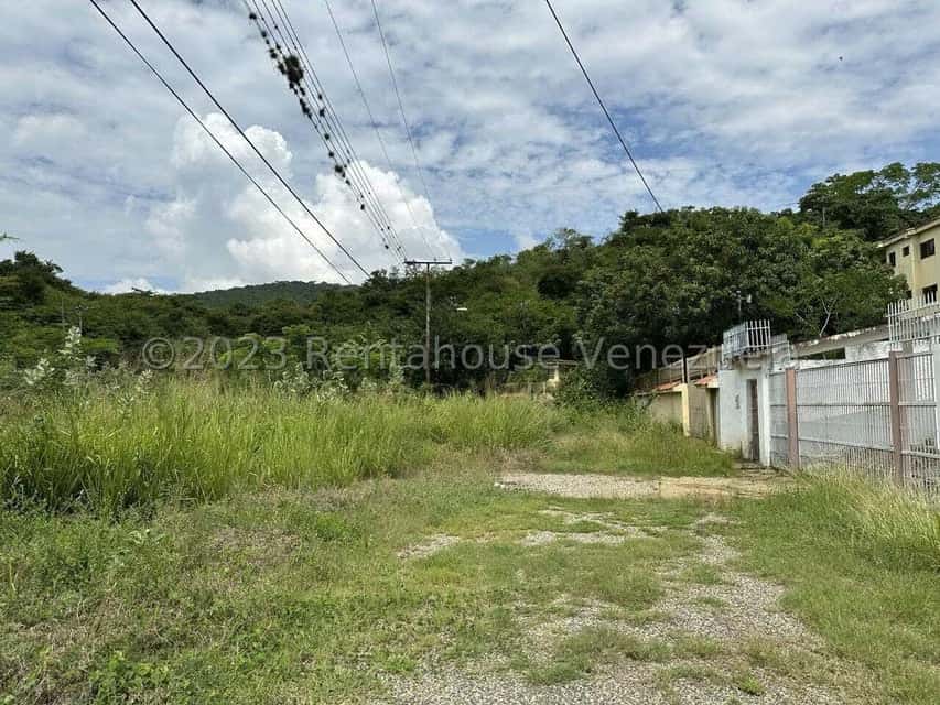 View 24
