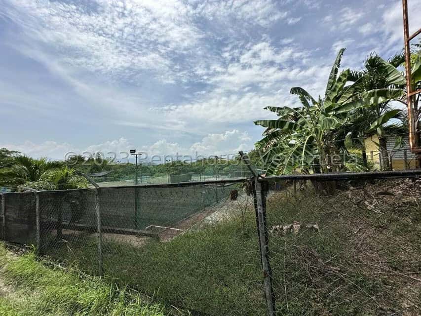 View 9