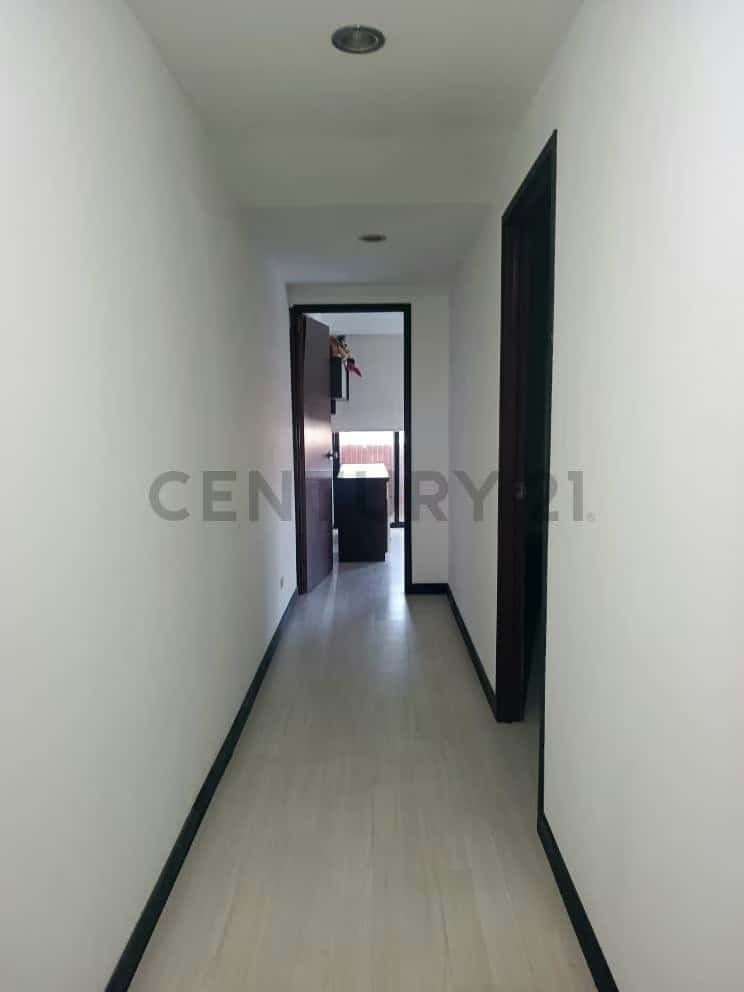 Vista 24