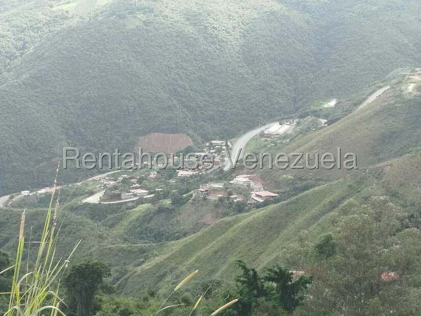 View 15