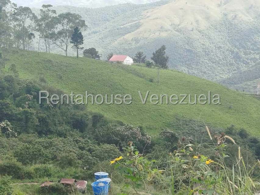 View 18