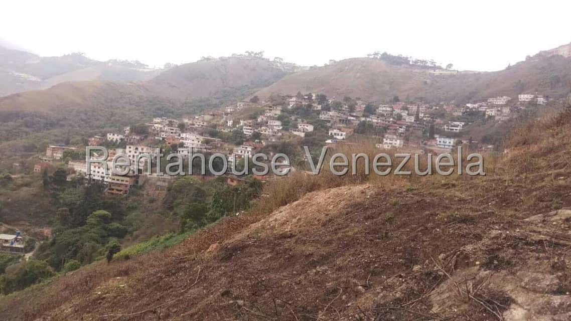 View 7