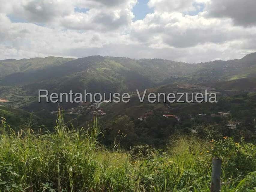 View 10