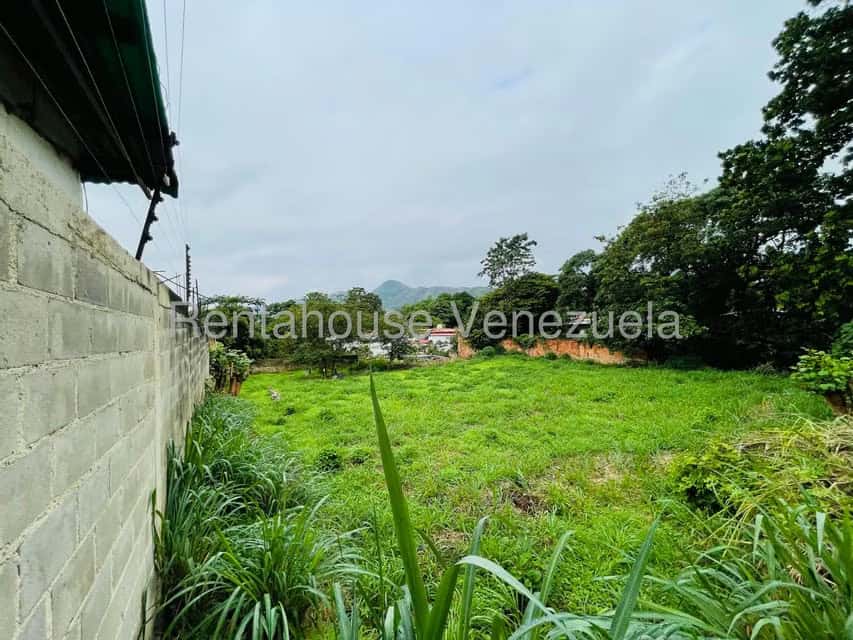 View 24