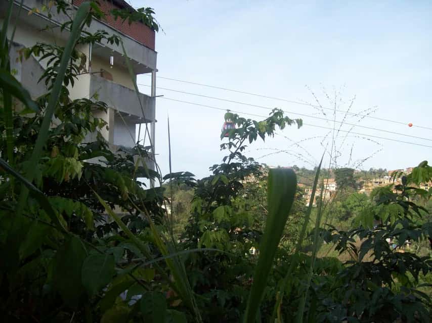 View 12