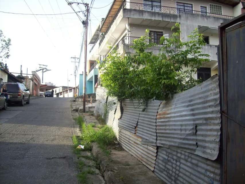 View 14