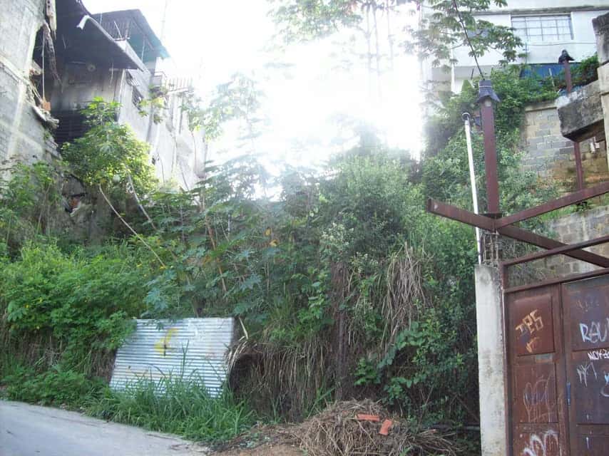 View 15