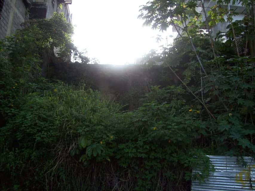 View 17