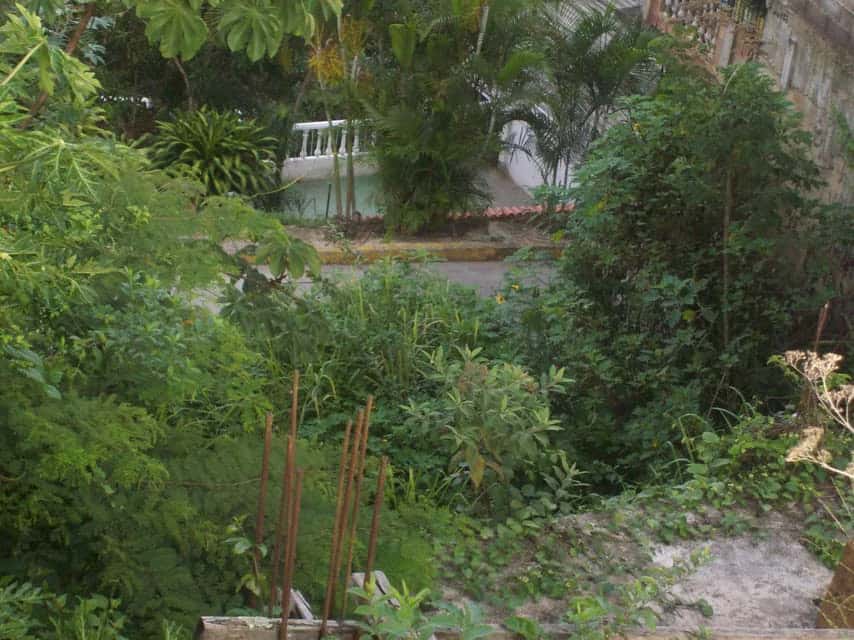 View 8