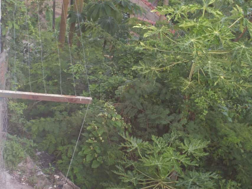 View 9